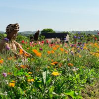 Floral Retreat - Image 7
