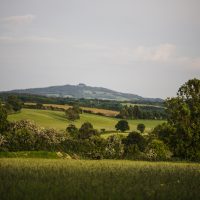Floral Retreat - Image 4
