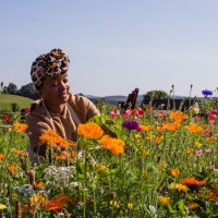 Floral Retreat - Image 3