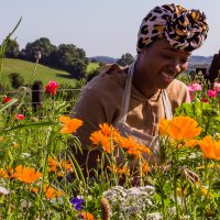 Floral Retreat - Image 6