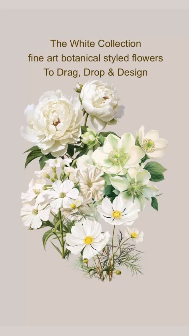My latest collection -  White and ivory botanical flower illustrations, created in a fine art style and inspired by the natural beauty of real flowers.
These high-resolution PNGs come with transparent backgrounds and are ready to use in Canva, Procreate or Photoshop — perfect for proposals, branding, presentations or creative projects.
Originally created to elevate my own floral visuals, this collection is perfect for florists, designers, planners and creatives who want elegant, cohesive designs with minimal effort.
Now available as a digital download click the link in post