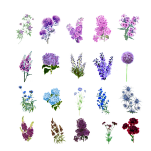 Procreate Focal Flowers Collection - Purple, blue and clove